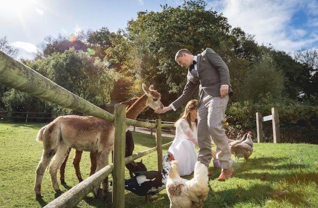 Villa Pulley Mill High Bickington Esterno foto